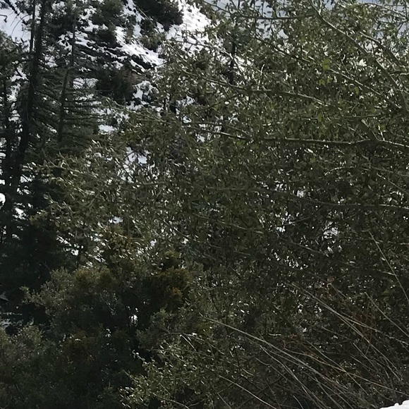 Meet your Posher, erica - Picture 1 of 1